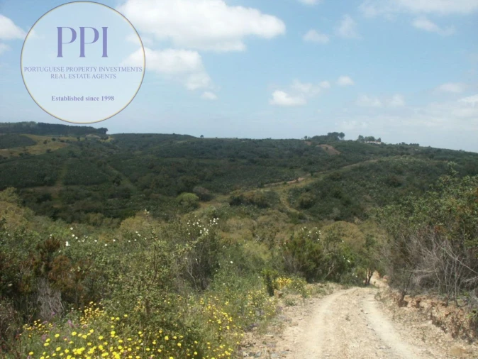 Terreno para Venda em Vila do Bispo e Raposeira Foto 22