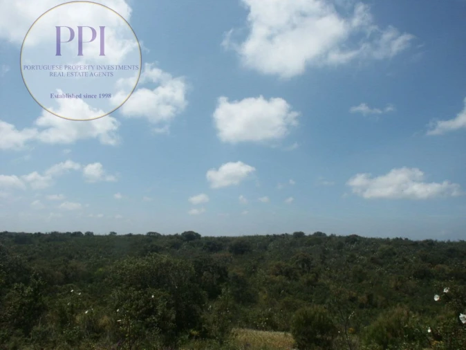 Terreno para Venda em Vila do Bispo e Raposeira Foto 44