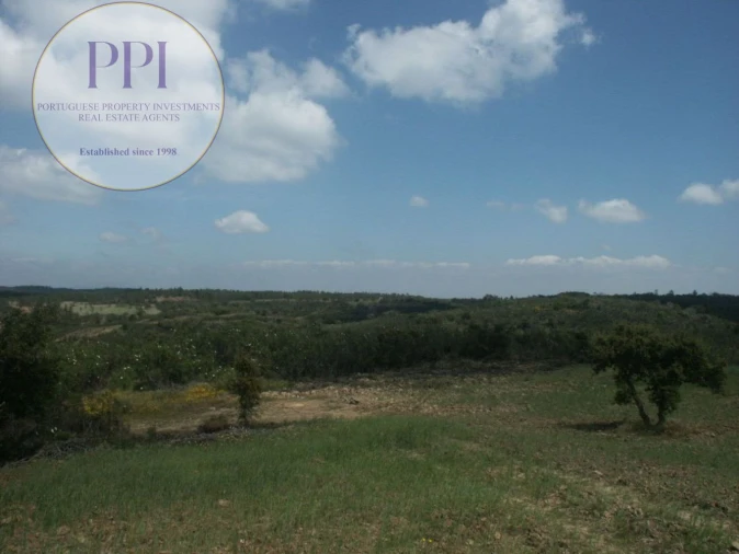 Terreno para Venda em Vila do Bispo e Raposeira Foto 19
