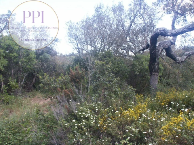 Terreno para Venda em Vila do Bispo e Raposeira Foto 38