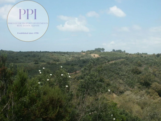 Terreno para Venda em Vila do Bispo e Raposeira Foto 26