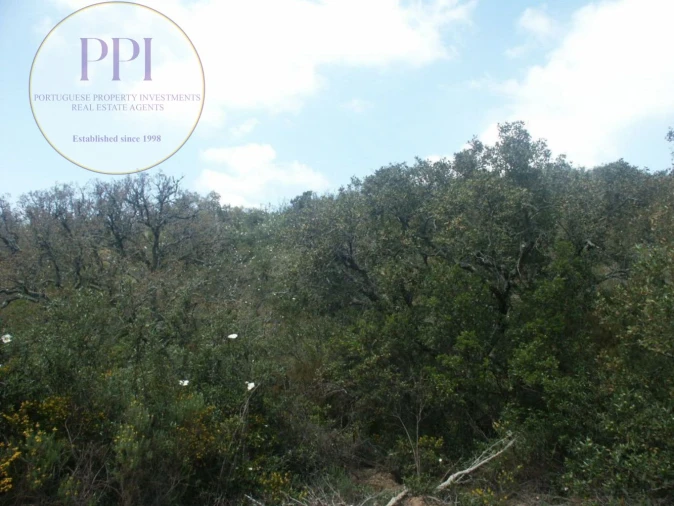 Terreno para Venda em Vila do Bispo e Raposeira Foto 42