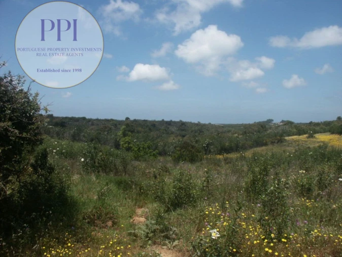 Terreno para Venda em Vila do Bispo e Raposeira Foto 47