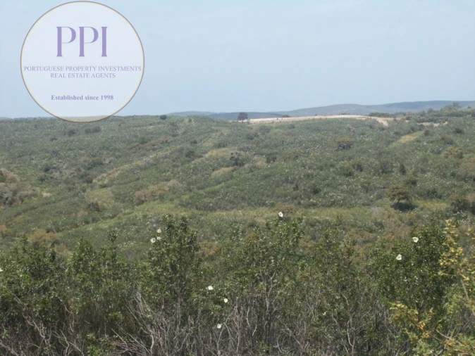 Terreno para Venda em Vila do Bispo e Raposeira Foto 15