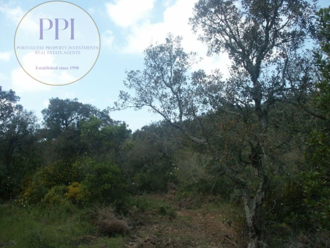 Terreno para Venda em Vila do Bispo e Raposeira Foto 37