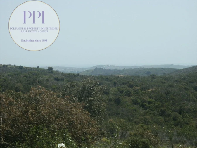 Terreno para Venda em Vila do Bispo e Raposeira Foto 13