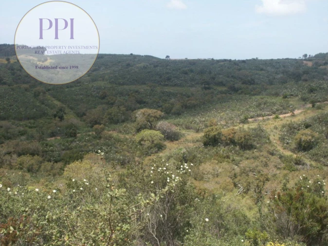 Terreno para Venda em Vila do Bispo e Raposeira Foto 21