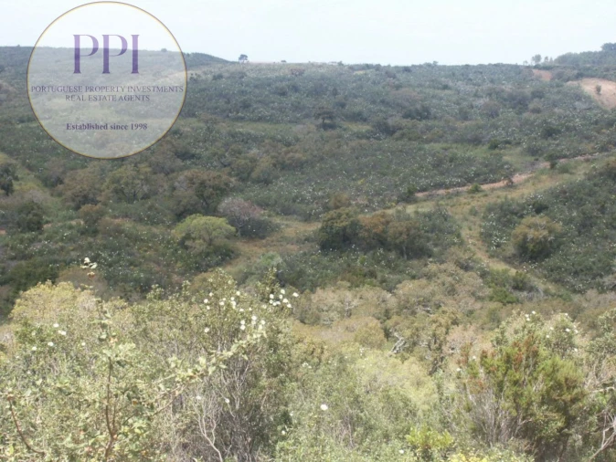 Terreno para Venda em Vila do Bispo e Raposeira Foto 24