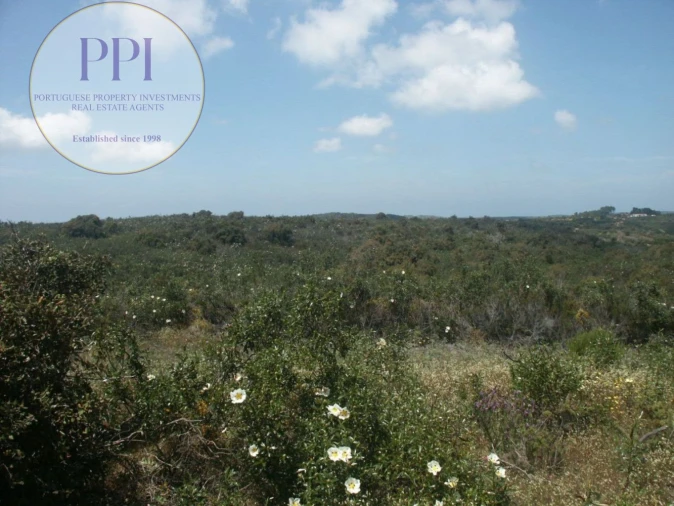 Terreno para Venda em Vila do Bispo e Raposeira Foto 12