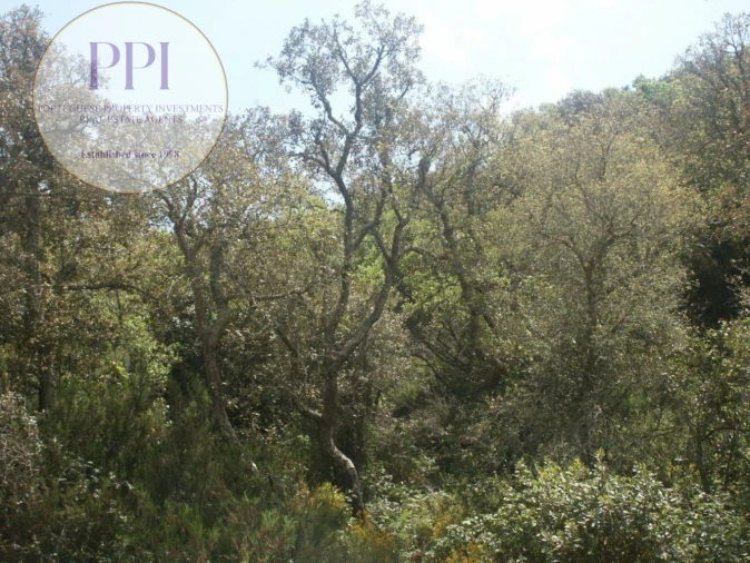 Terreno para Venda em Vila do Bispo e Raposeira Foto 31