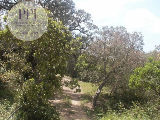 Terreno para Venda em Vila do Bispo e Raposeira Foto 32