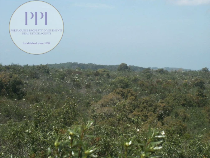 Terreno para Venda em Vila do Bispo e Raposeira Foto 6