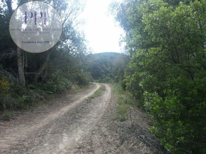 Terreno para Venda em Vila do Bispo e Raposeira Foto 36