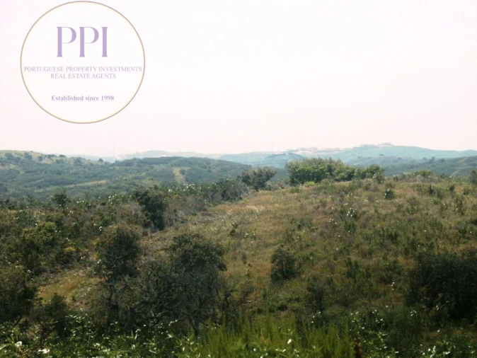 Terreno para Venda em Vila do Bispo e Raposeira Foto 10
