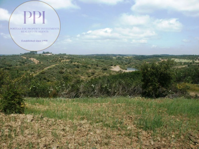 Terreno para Venda em Vila do Bispo e Raposeira Foto 18