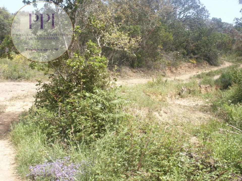 Terreno para Venda em Vila do Bispo e Raposeira Foto 29