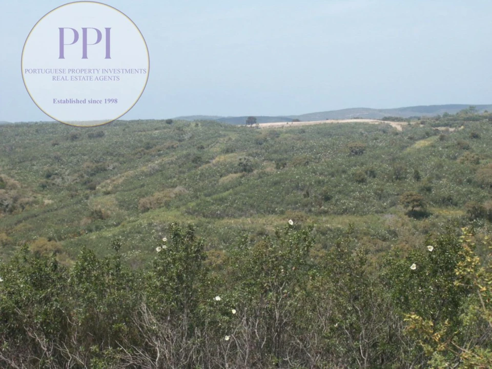 Terreno para Venda em Vila do Bispo e Raposeira Foto 15