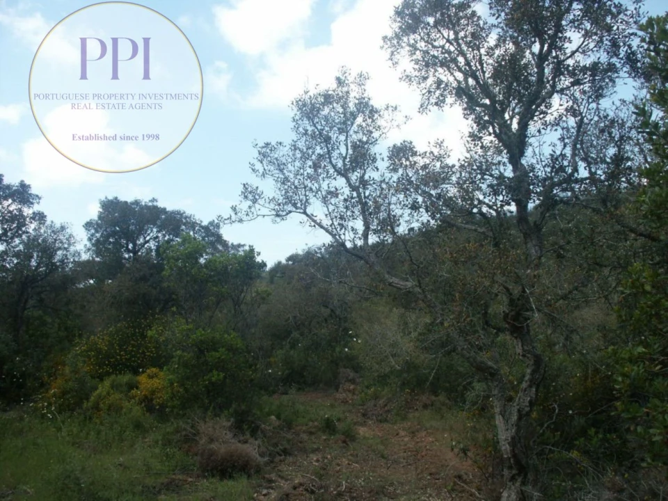 Terreno para Venda em Vila do Bispo e Raposeira Foto 37