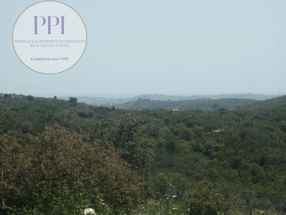 Terreno para Venda em Vila do Bispo e Raposeira Foto 13