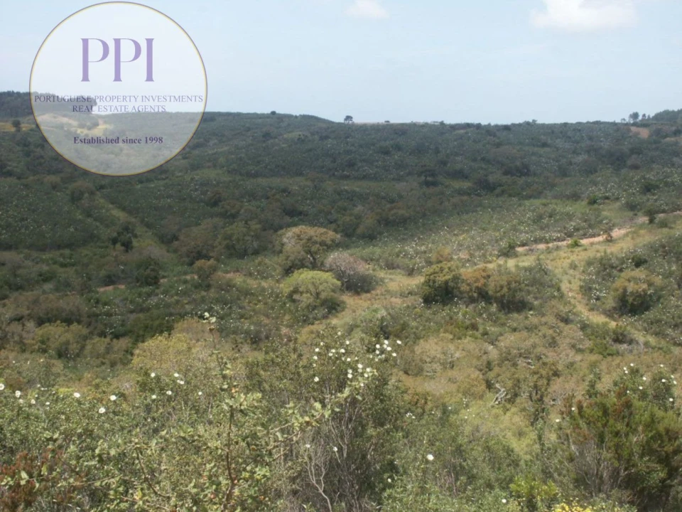Terreno para Venda em Vila do Bispo e Raposeira Foto 21