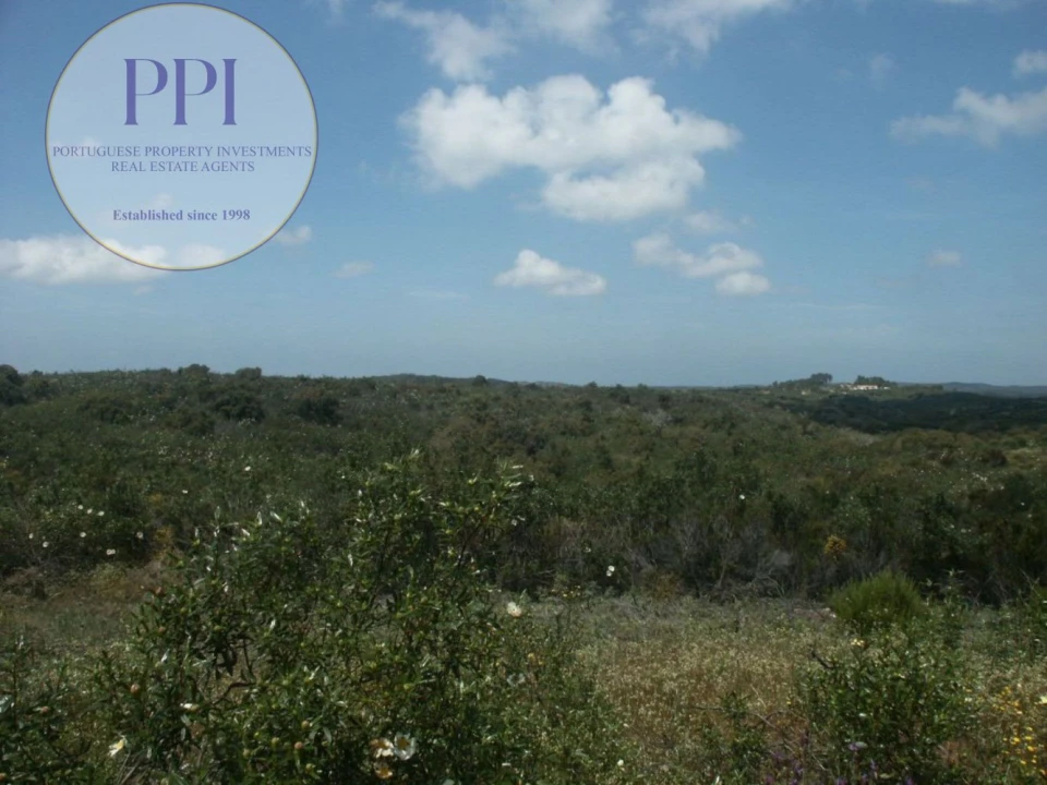 Terreno para Venda em Vila do Bispo e Raposeira Foto 7