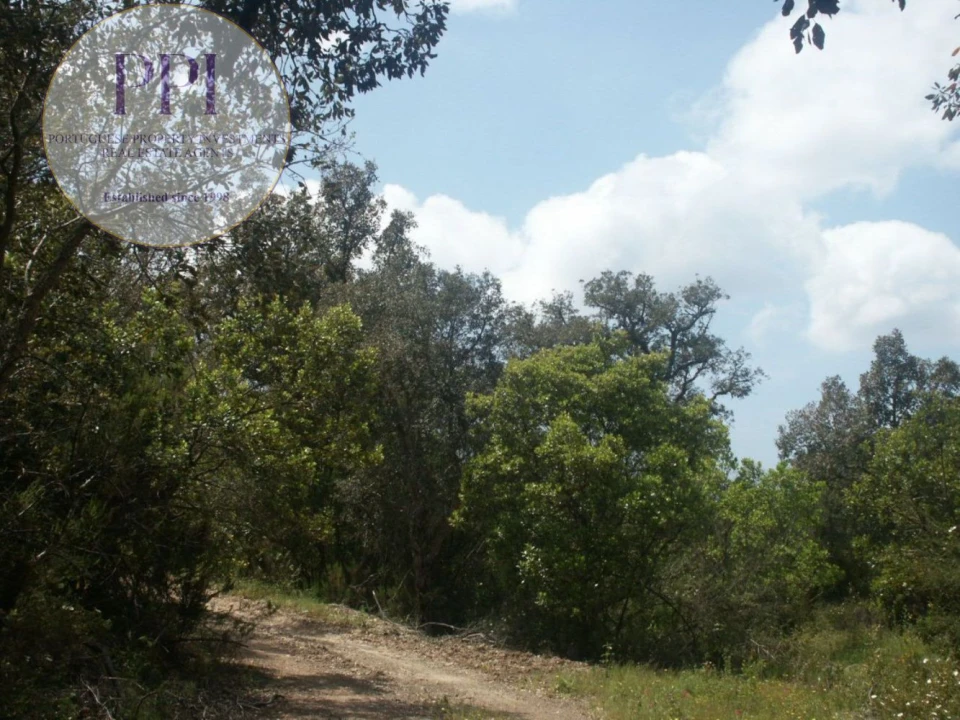 Terreno para Venda em Vila do Bispo e Raposeira Foto 28