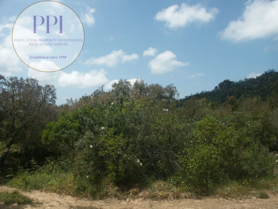 Terreno para Venda em Vila do Bispo e Raposeira Foto 35