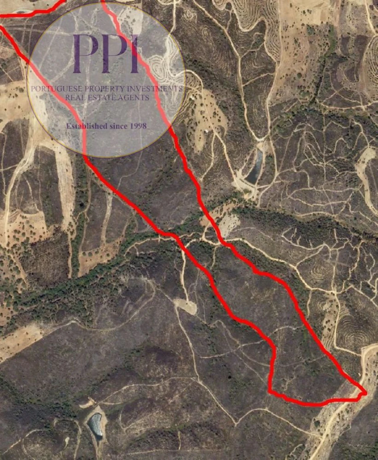 Terreno para Venda em Vila do Bispo e Raposeira Foto 45