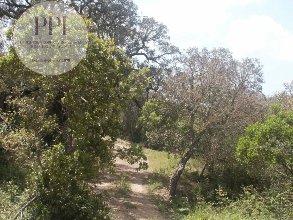 Terreno para Venda em Vila do Bispo e Raposeira Foto 32