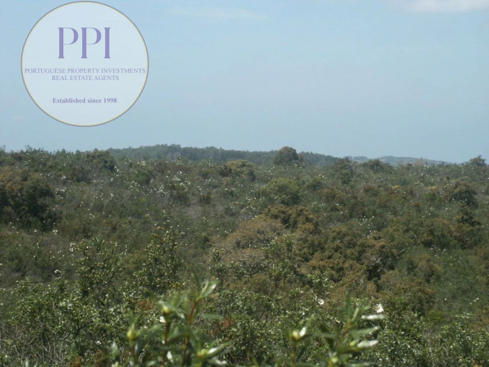 Terreno para Venda em Vila do Bispo e Raposeira Foto 6