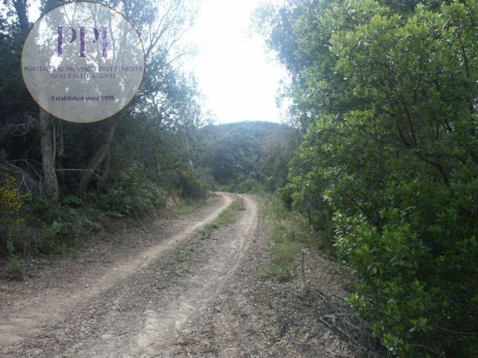 Terreno para Venda em Vila do Bispo e Raposeira Foto 36