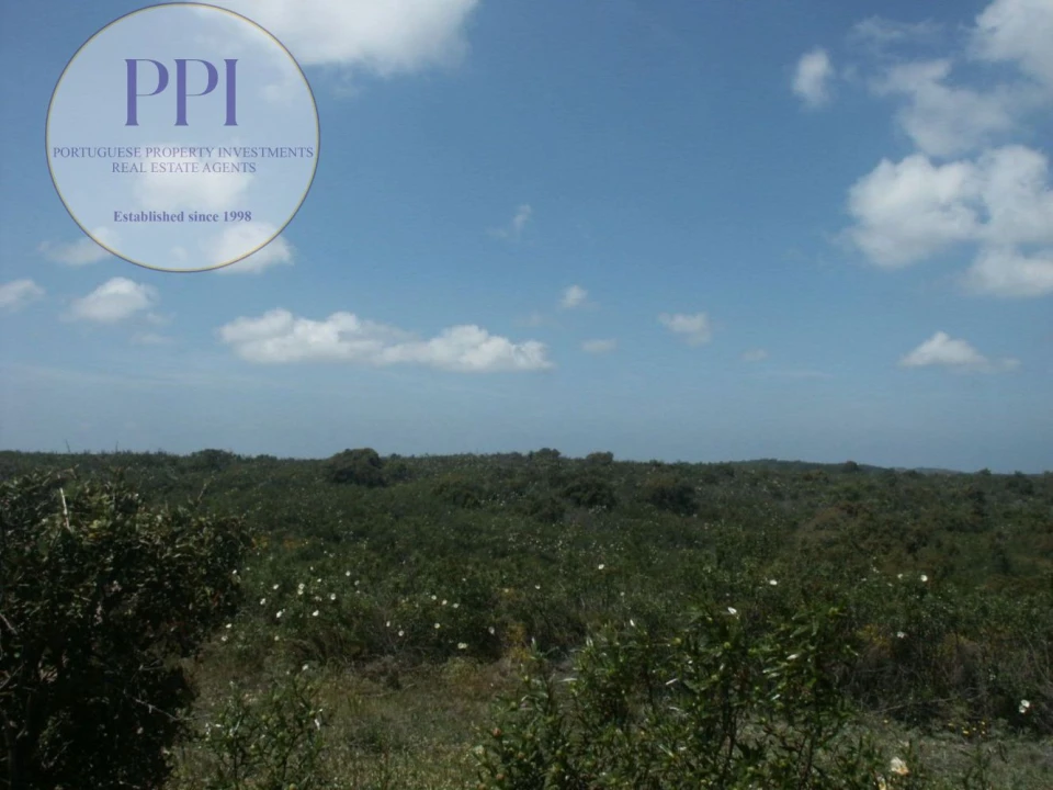 Terreno para Venda em Vila do Bispo e Raposeira Foto 3