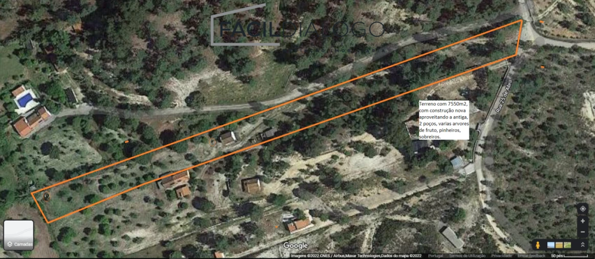 Quinta T4 para Venda em Montargil Foto 3