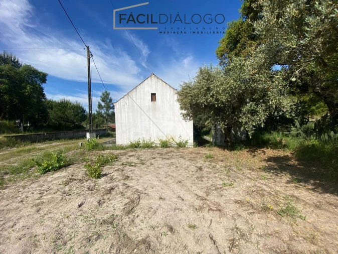 Quinta T4 para Venda em Montargil Foto 15