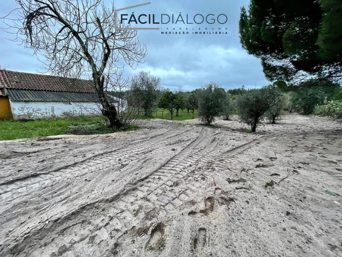 Quinta T4 para Venda em Montargil Foto 33