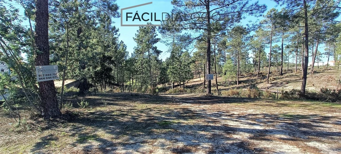 Quinta T4 para Venda em Montargil Foto 46