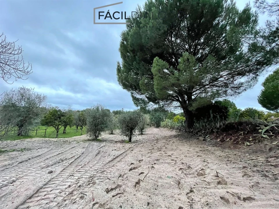 Quinta T4 para Venda em Montargil Foto 23