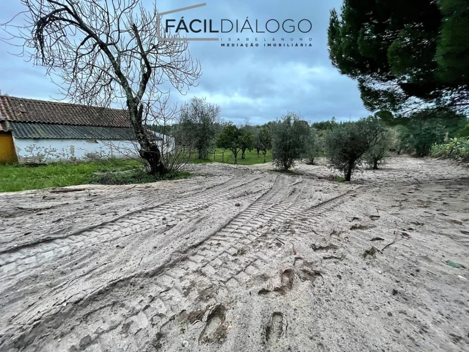 Quinta T4 para Venda em Montargil Foto 33