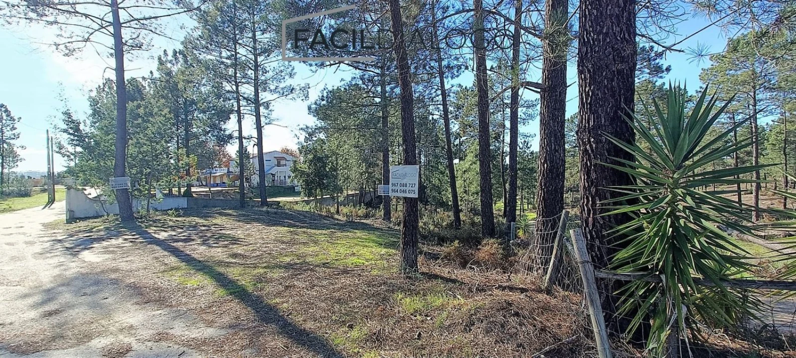 Quinta T4 para Venda em Montargil Foto 47