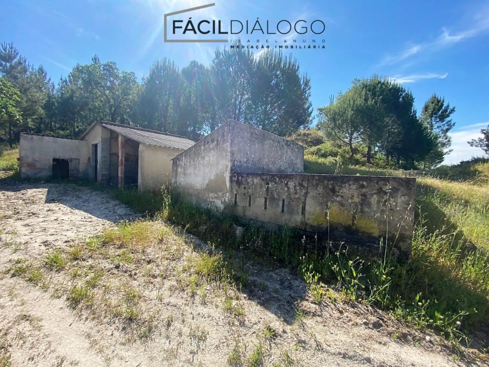 Quinta T4 para Venda em Montargil Foto 19