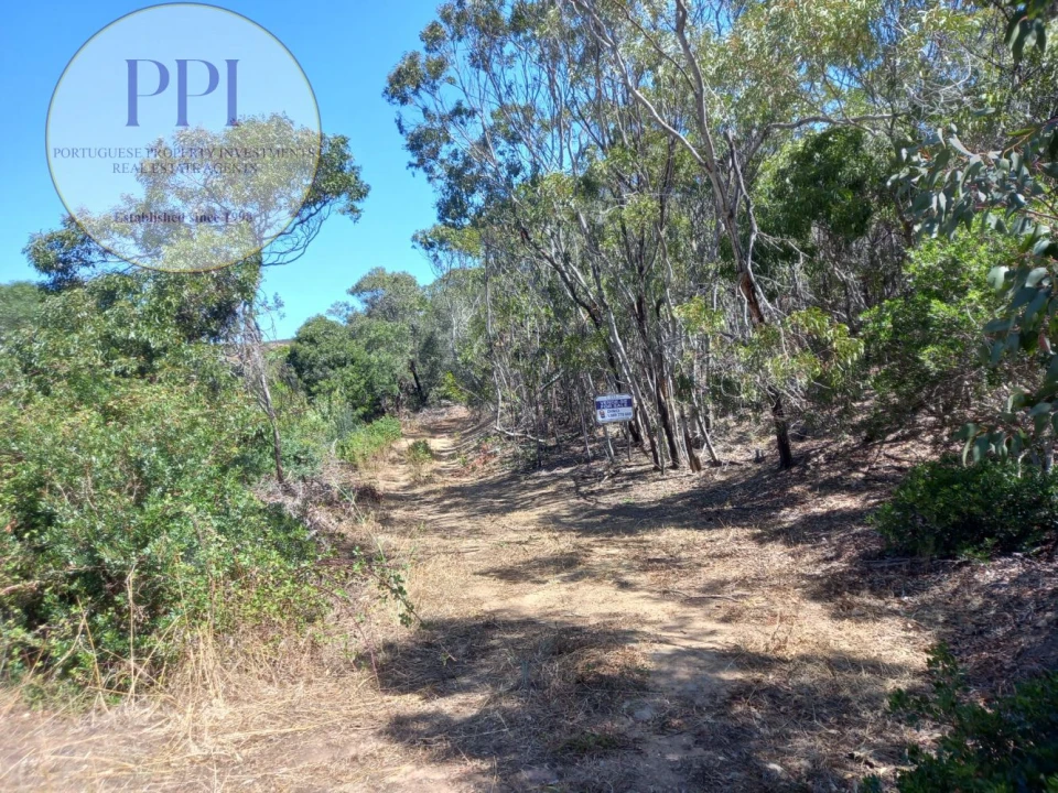 Quinta T0 para Venda em Vila do Bispo e Raposeira Foto 3