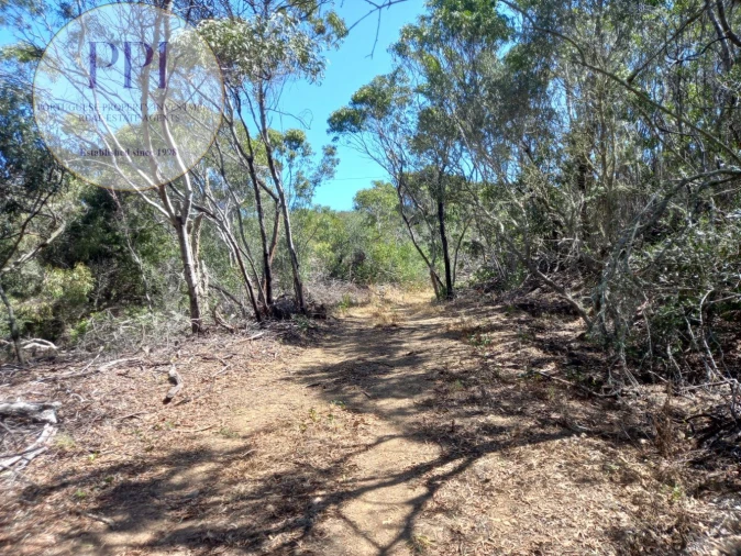 Quinta T0 para Venda em Vila do Bispo e Raposeira Foto 4