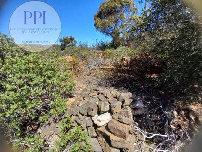 Quinta T0 para Venda em Vila do Bispo e Raposeira Foto 5