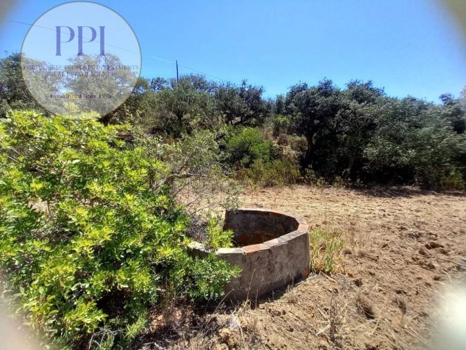 Quinta T0 para Venda em Vila do Bispo e Raposeira Foto 15