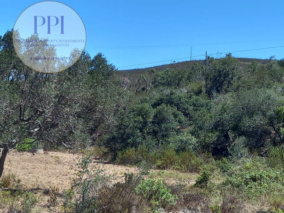 Quinta T0 para Venda em Vila do Bispo e Raposeira Foto 11