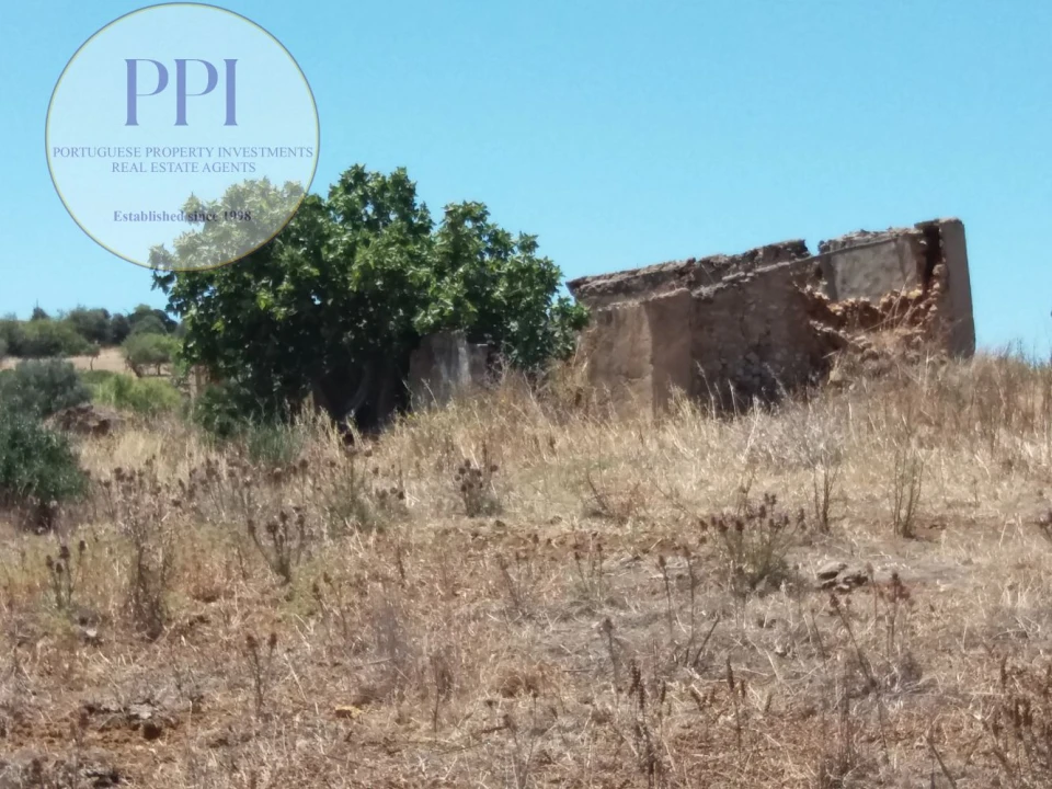 Quinta T0 para Venda em Luz Foto 1