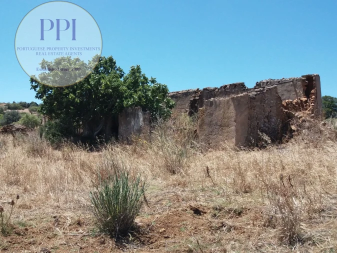 Quinta T0 para Venda em Luz Foto 10