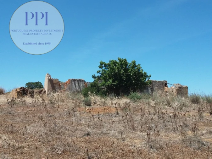 Quinta T0 para Venda em Luz Foto 15