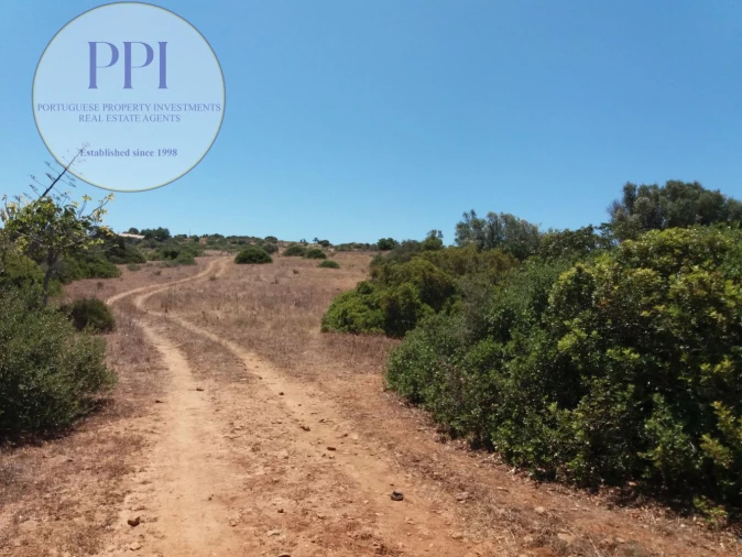 Quinta T0 para Venda em Luz Foto 6