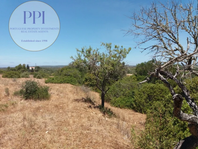 Quinta T0 para Venda em Luz Foto 7